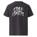 Style Limits